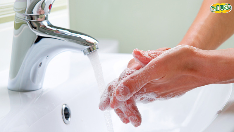 Rửa tay thường xuyên để tránh vi khuẩn